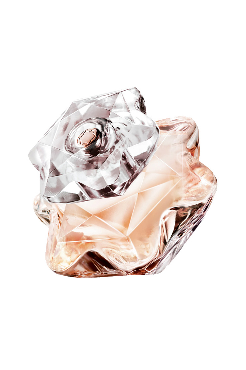 عطر ادکلن مونت بلنک لیدی امبلم | Mont Blanc Lady Emblem