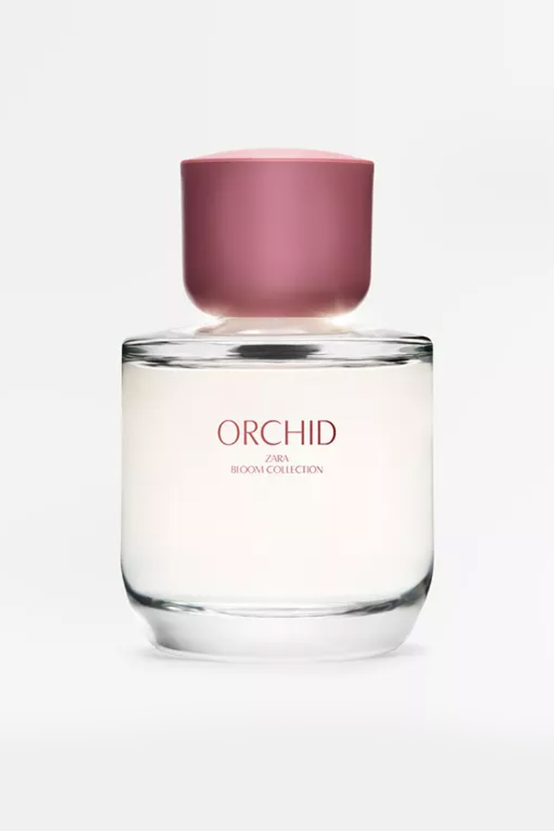 عطر ادکلن زارا ارکید | Zara Orchid